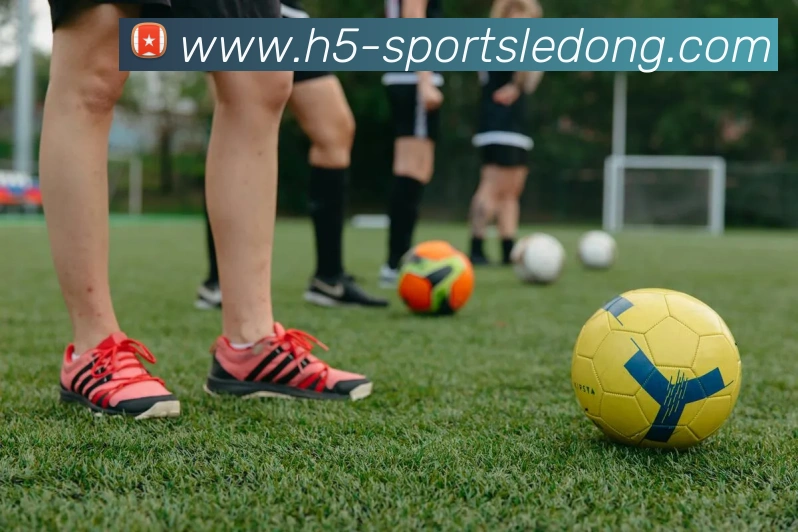 乐动体育平台生态图