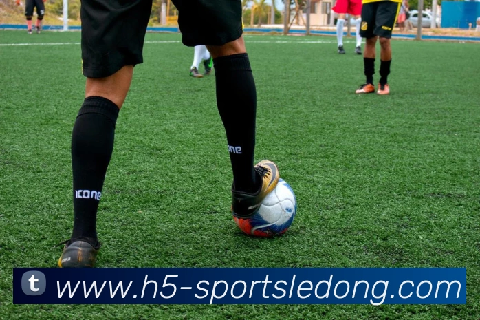 乐动体育全站App